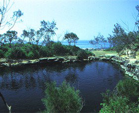 Angourie Blue Pool - Accommodation Newcastle 2