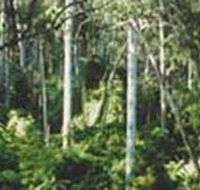Lind National Park - Accommodation Newcastle