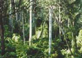 Lind National Park - Accommodation Newcastle 0