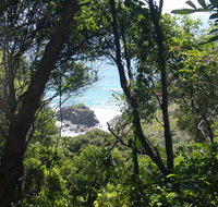 Rainforest walking track - Accommodation Newcastle