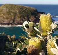 Green Island walking track - Accommodation Newcastle