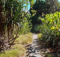 North Head walking track - Accommodation Newcastle