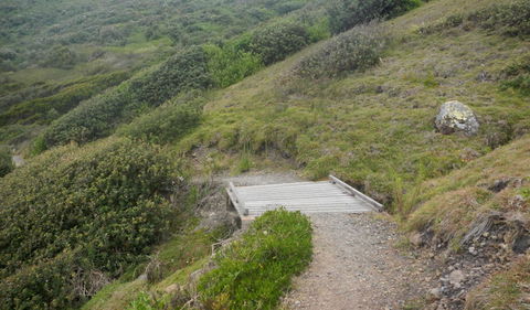 Connors Walking Track - Accommodation Newcastle 2