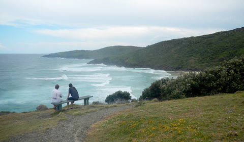 Connors Walking Track - Accommodation Newcastle 3
