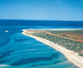 Monkey Mia WA Accommodation Newcastle