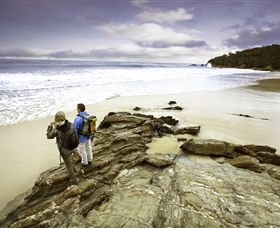 Wilderness Coast Walk - Accommodation Newcastle 0