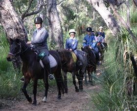 Mirravale Horse Riding School - Accommodation Newcastle 0
