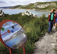 Rocky Cape National Park - Accommodation Newcastle