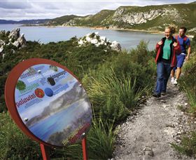 Rocky Cape National Park - Accommodation Newcastle 0