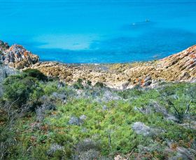 Rocky Cape National Park - Accommodation Newcastle 3