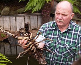 Lobster Ponds - Accommodation Newcastle 0