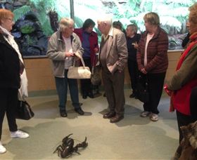 Lobster Ponds - Accommodation Newcastle 1