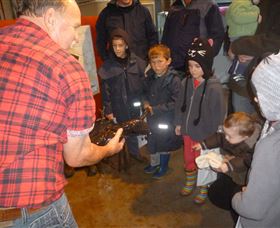 Lobster Ponds - Accommodation Newcastle 3