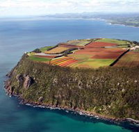 Table Cape - Accommodation Newcastle