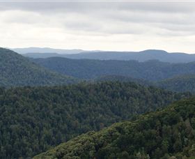 Whyte Hills Lookout - Accommodation Newcastle 1