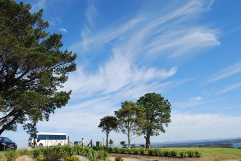 South Coast Scenic Tours - Accommodation Newcastle 6