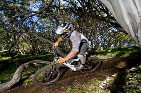 All Terrain Cycles - Accommodation Newcastle 0