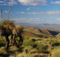 4WD Aussie Outback Adventures - Accommodation Newcastle