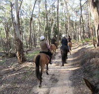 Silver Brumby Trails - Accommodation Newcastle