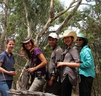 Echidna Walkabout Nature Tours - Accommodation Newcastle