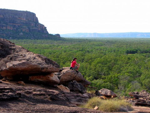 Echidna Walkabout Nature Tours - Accommodation Newcastle 21