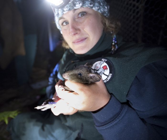 Act Country ACT Accommodation Newcastle