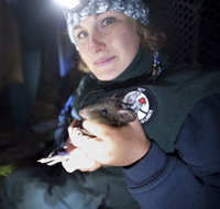 Naturewise at Tidbinbilla - Accommodation Newcastle