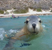 Calypso Star Charters - Accommodation Newcastle