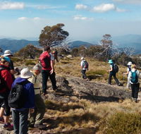 Hedonistic Hiking - Accommodation Newcastle