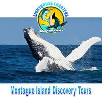 Lighthouse Charters Narooma - Accommodation Newcastle