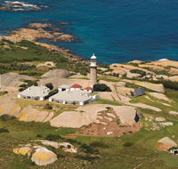 Naturewise Montague Island Nature Escape - Accommodation Newcastle