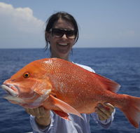 Absolute Ocean Charters - Accommodation Newcastle