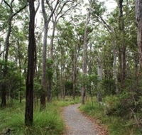 Caboolture Regional Environment Education Centre - Walking Trails - Accommodation Newcastle