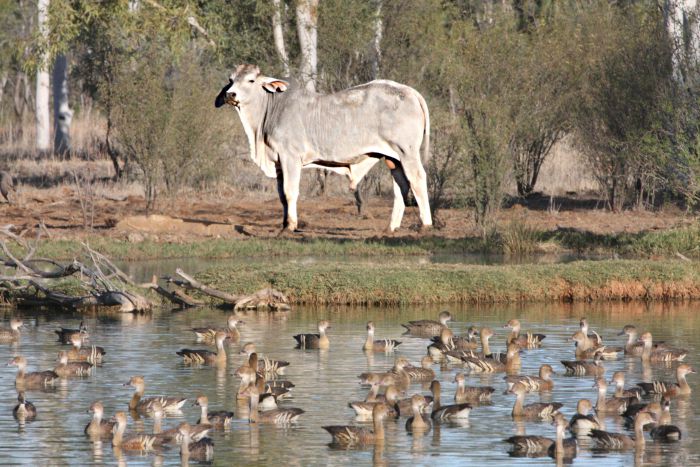 Min Min QLD Accommodation Newcastle