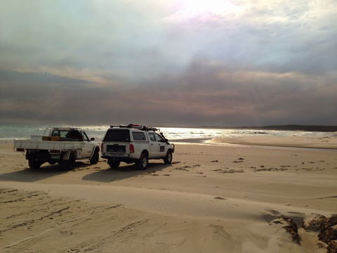 Tasmanian Offroad Adventures - Accommodation Newcastle 0
