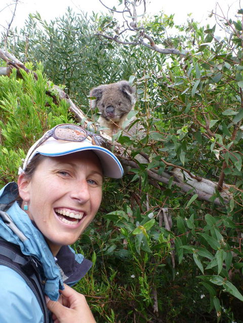 Auswalk Walking Holidays - Accommodation Newcastle 0