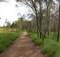 Billai dhagun Circuit Place of She-Oaks - Accommodation Newcastle
