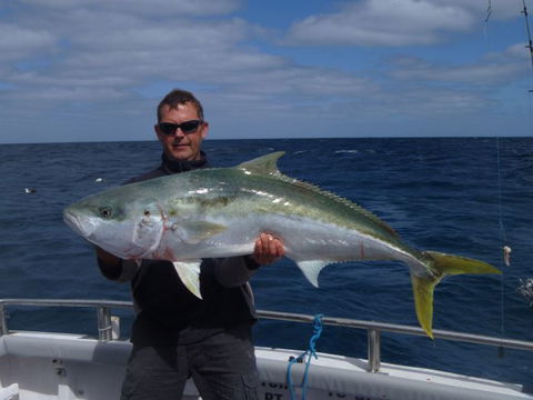Reef Encounters Fishing Charters. - Accommodation Newcastle 12