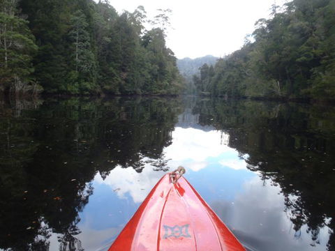 King River Rafting - Accommodation Newcastle 1