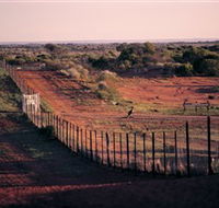 Tri State Safaris - Accommodation Newcastle