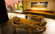 Tin Shed Art Gallery - thumb 1