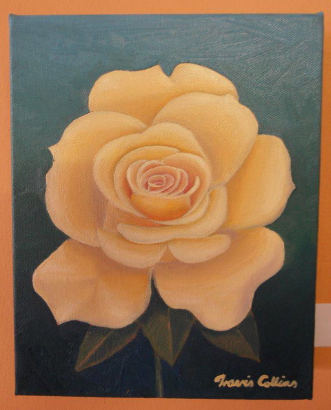 Castlereagh Collectables - Accommodation Newcastle 1