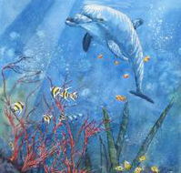 Nadas Fine Art Gallery - Accommodation Newcastle