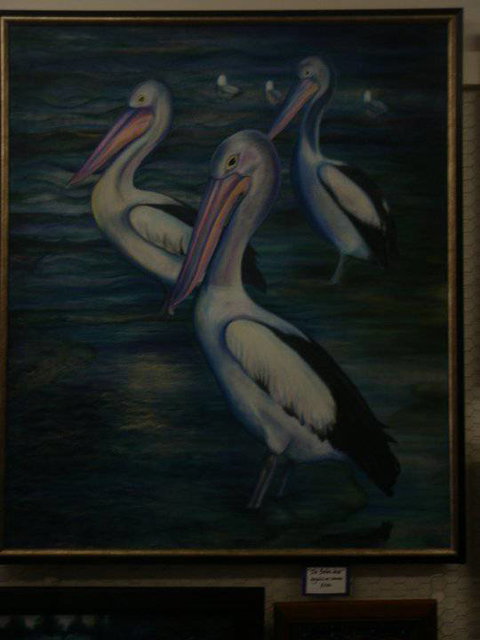 Charlie Moore - Accommodation Newcastle 0