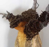 Caldera Wildscapes Gallery - Accommodation Newcastle