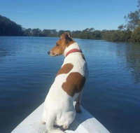 Australis Canoes  Kayaks - Accommodation Newcastle