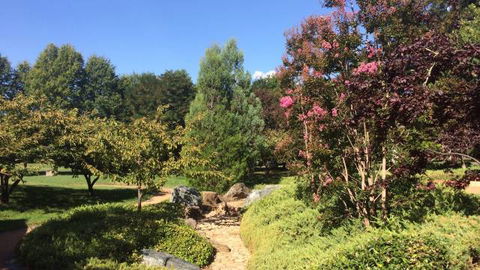 Lennox Gardens - Accommodation Newcastle 0