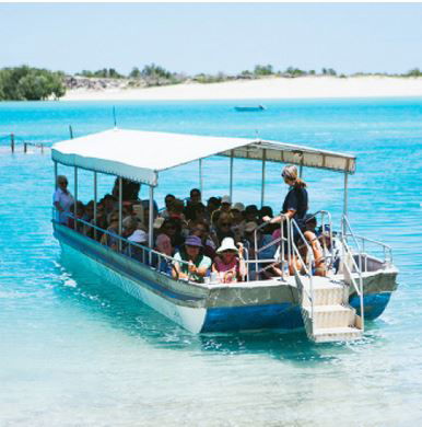 Willie Creek Pearl Farm - Accommodation Newcastle 0