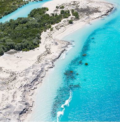 Willie Creek Pearl Farm - Accommodation Newcastle 2