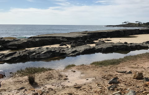 Yamba Tours And Charters - Accommodation Newcastle 0